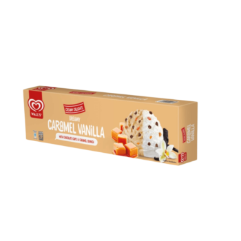 Caramel Vanilla Ice Cream