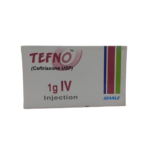 Tefna 1gIV