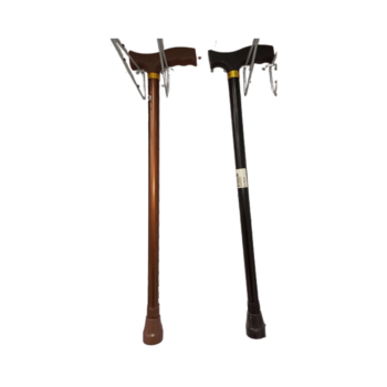 Walking Stick All
