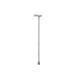 Walking Stick All