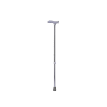 Walking Stick All
